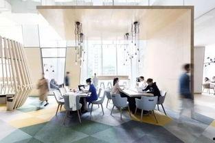 国产 白领酒店视频,揭秘现代都市生活新趋势