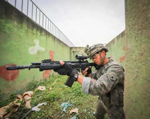 石洞沟国产新步枪视频