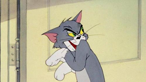 国产歌配感情动漫视频,国产歌曲与情感动漫的视听盛宴