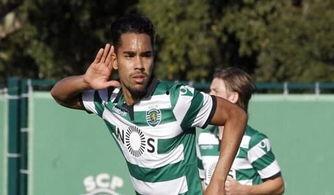 国产外援色视频,揭秘东方魅力下的异域风情