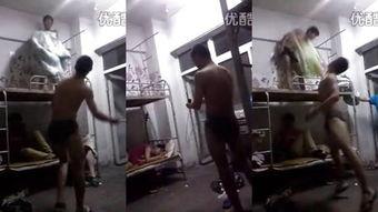 国产女贝sm调教视频,揭秘隐秘欲望的觉醒之旅