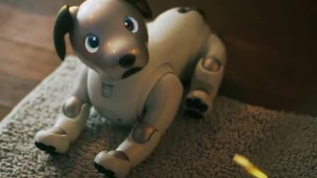 国产机器狗动画视频播放,智能宠物的奇幻冒险之旅