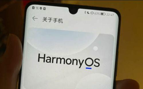 伏拉夫支持国产华为视频,伏拉夫力挺华为，共筑视频产业新篇章