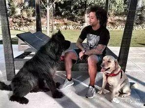 国产丝语调教狗奴视频,揭秘独特驯犬文化