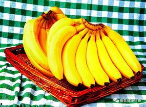 国产精品大番蕉视频,一场视觉与情感的盛宴  第3张