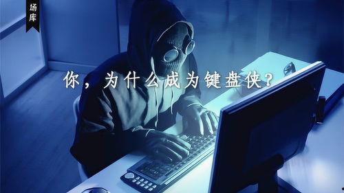 海量国产精品高清视频,海量精品视频尽收眼底  第2张