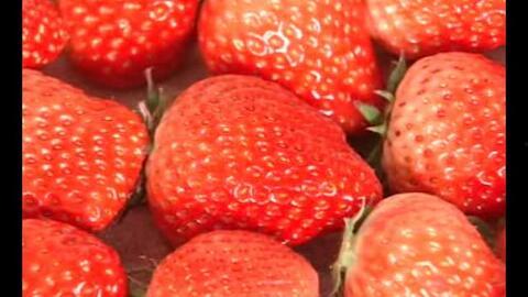 国产草莓网站视频,视频带你领略田园风光与美味果实  第3张