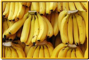 国产大香蕉福利视频,揭秘国内影视产业新趋势