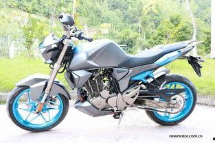 如何选国产机车品牌呢视频,视频解析选购技巧